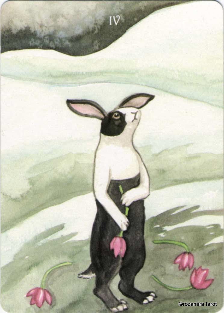 Rabbit Tarot